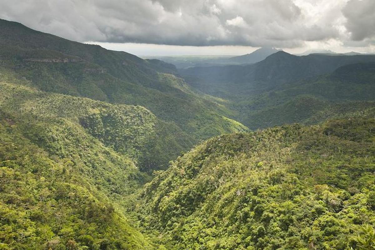 una vista di una lussureggiante valle di montagna verde