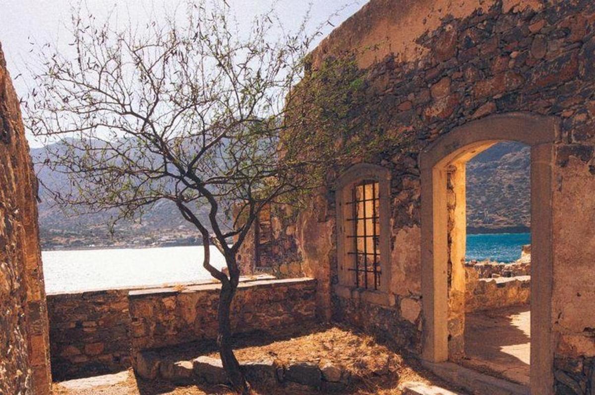 un arbre devant un bâtiment avec une fenêtre