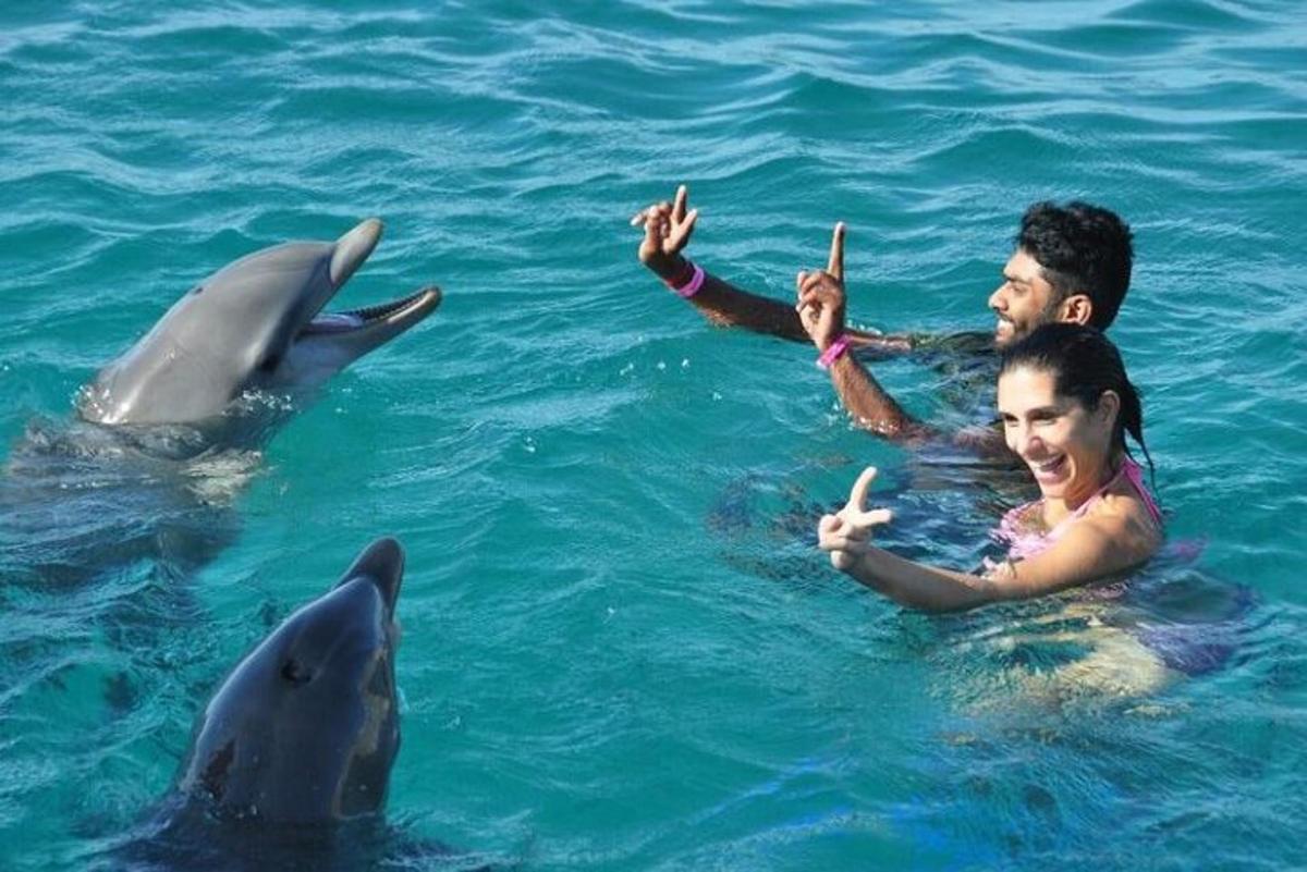 un gruppo di persone in acqua con i delfini
