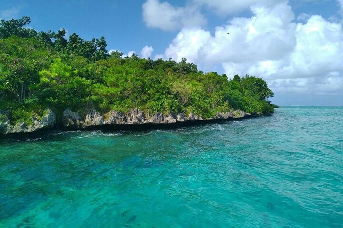 isang isla sa gitna ng isang anyong tubig