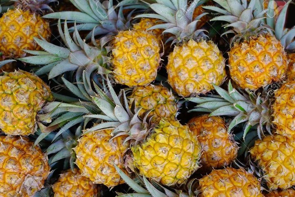 una pila de pinyes assegudes una al costat de l'altra