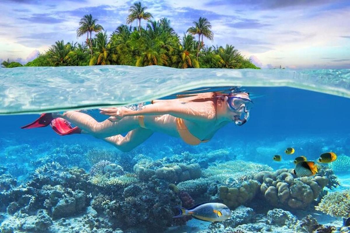 một người phụ nữ đang bơi qua một rạn san hô ở đại dương
