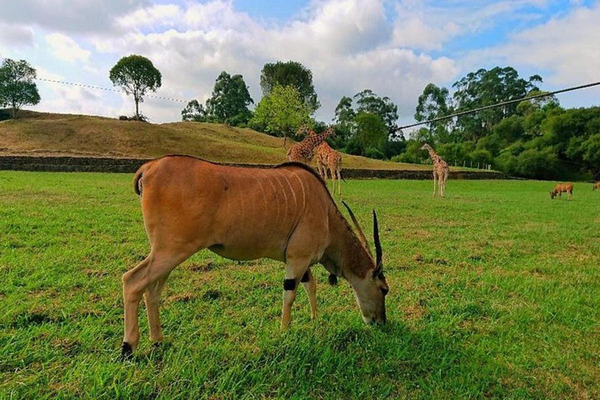 Fotografia da atração 1