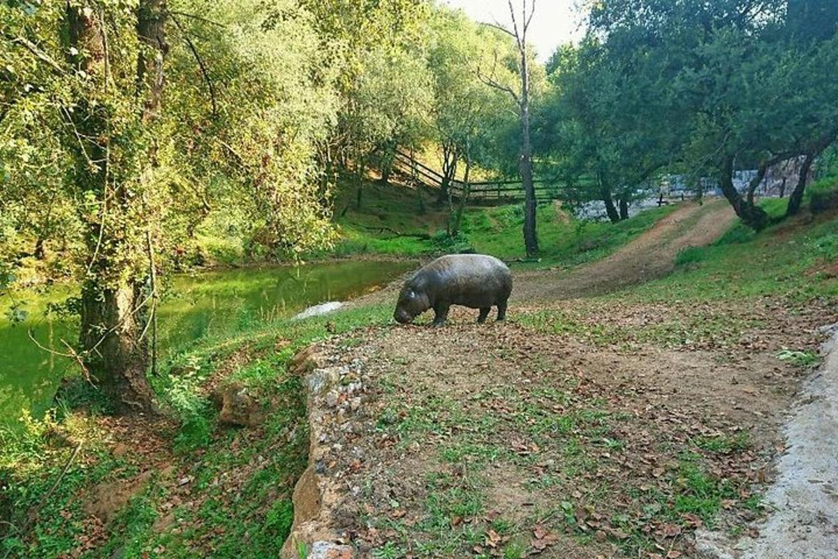 7 foto atraksi wisata