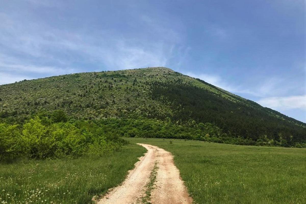 makadamska cesta sredi polja z goro