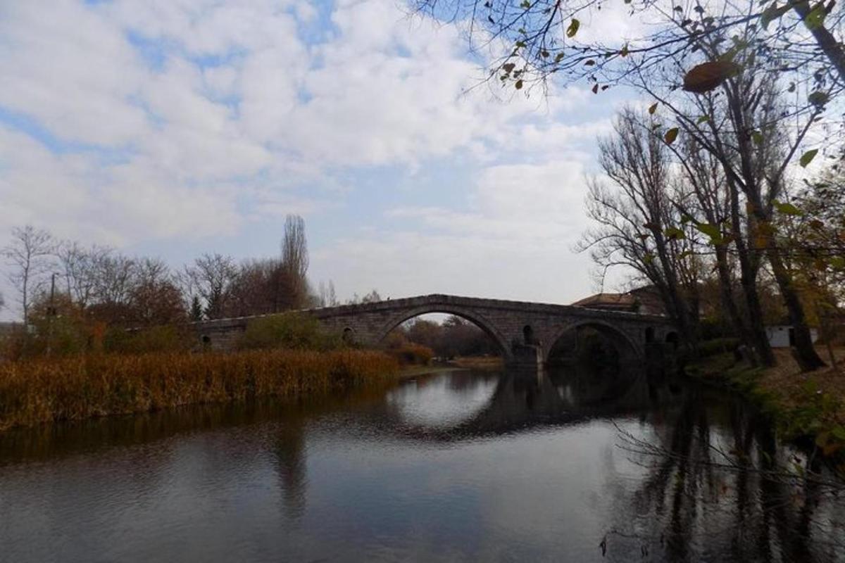 un ponte sopra un fiume in un parco