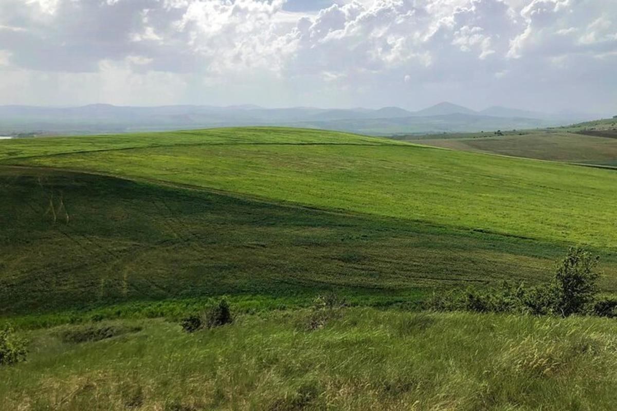 padang rumput hijau dengan latar belakang gunung