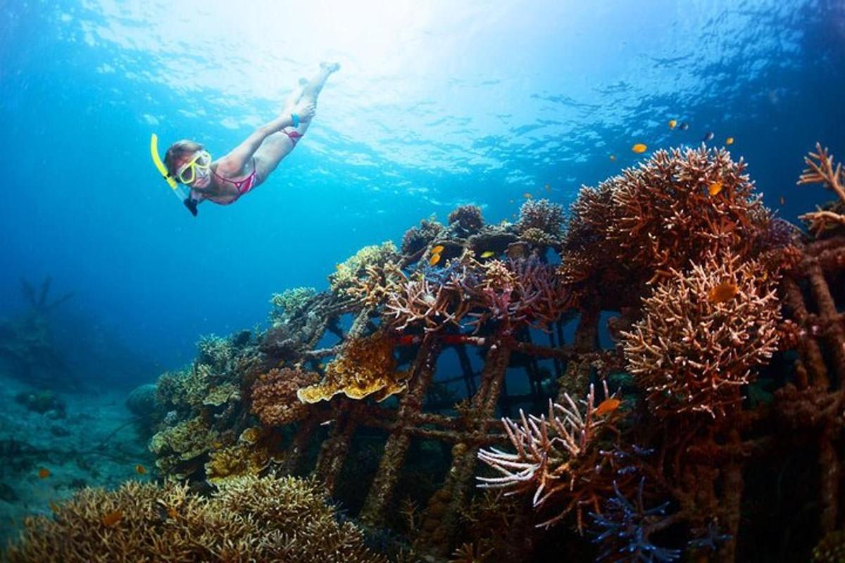 a woman is swimming over a coral reef
