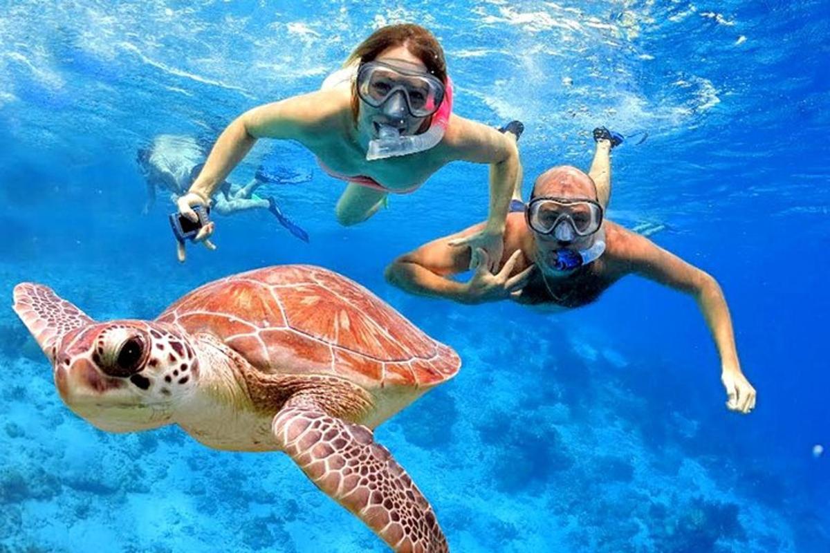 due persone e una tartaruga marina nell'acqua