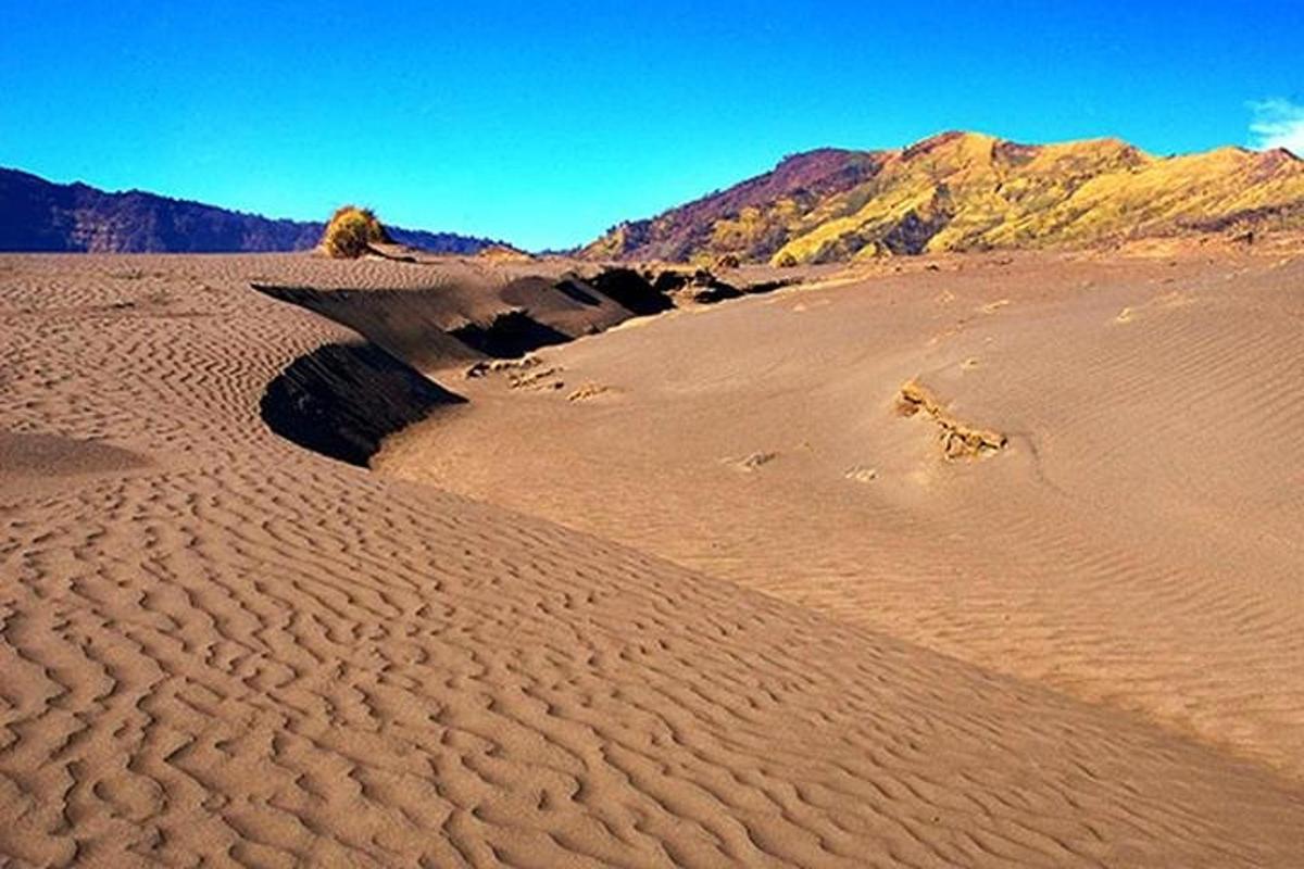 Lankytinos vietos ar pramogos nuotrauka numeris 7