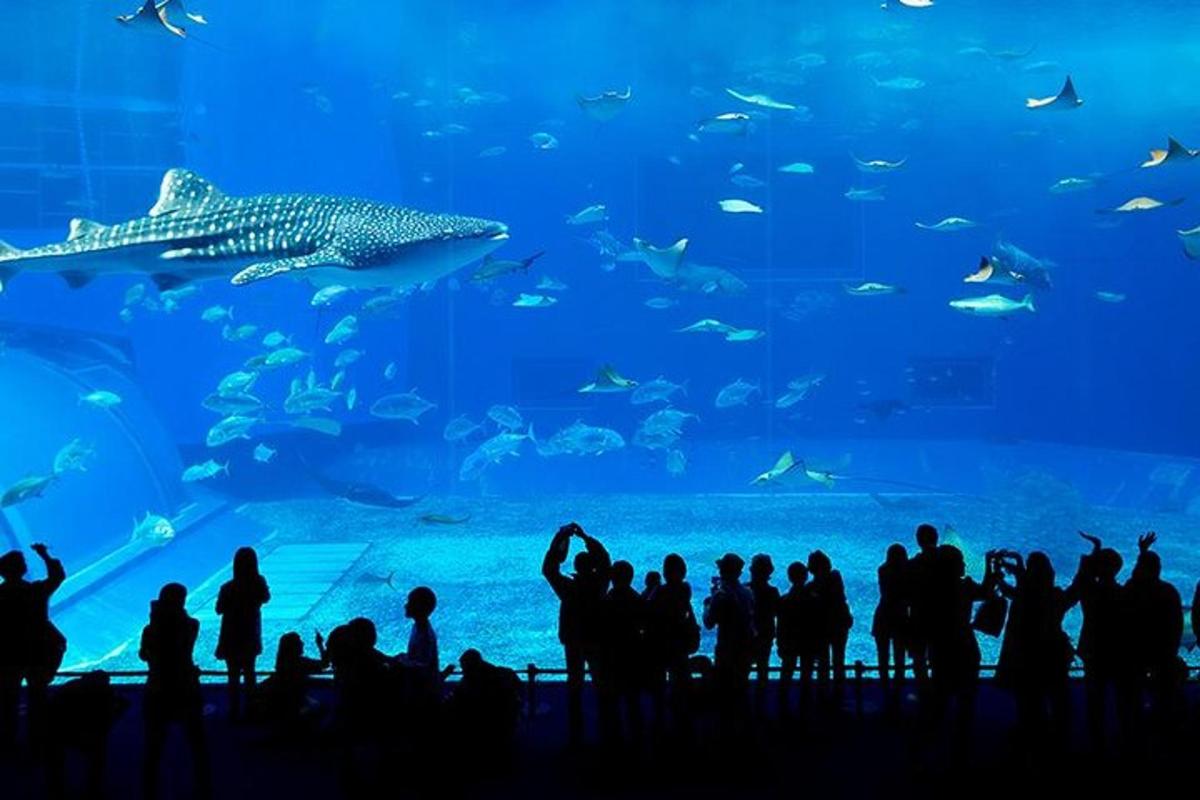 Attraction picture 4