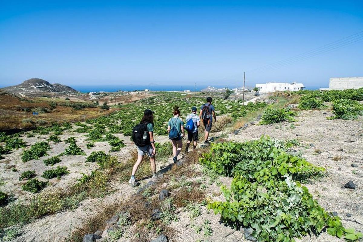 un grupo de personas caminando por un sendero de tierra