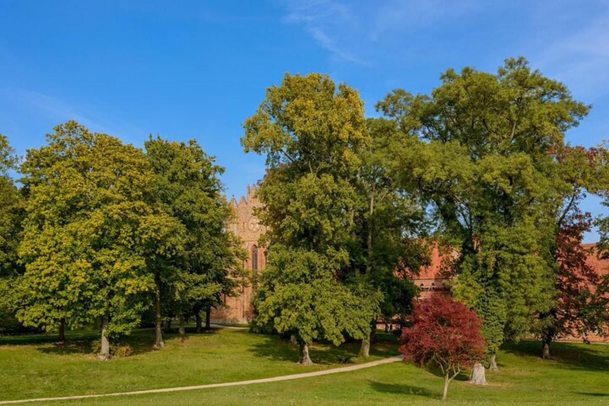 a group of trees in front of a building