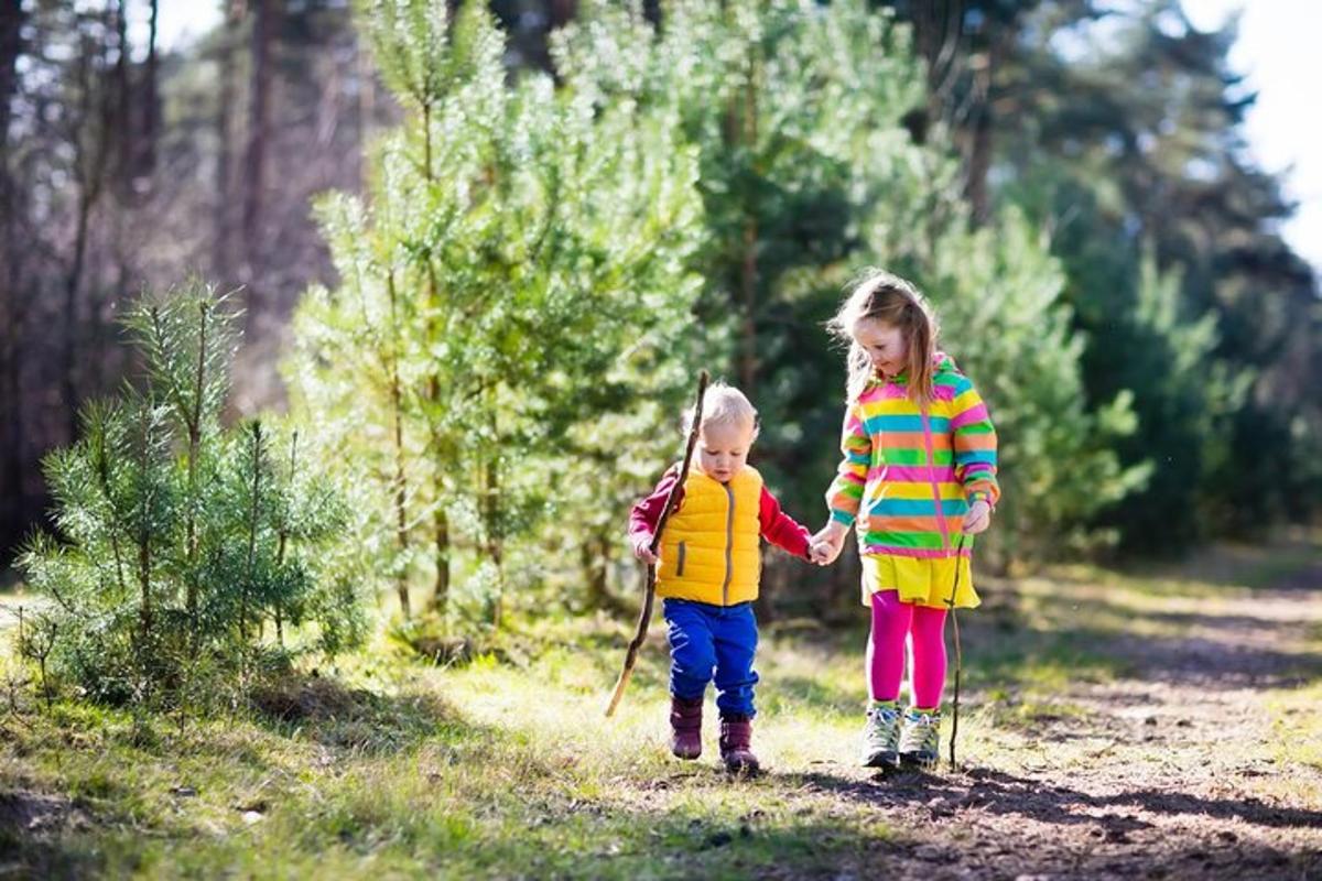 duas meninas de mãos dadas enquanto caminham por uma trilha