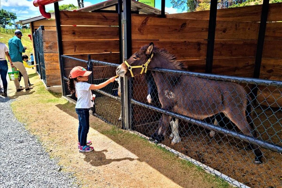 5枚目の観光スポット・アクティビティの写真