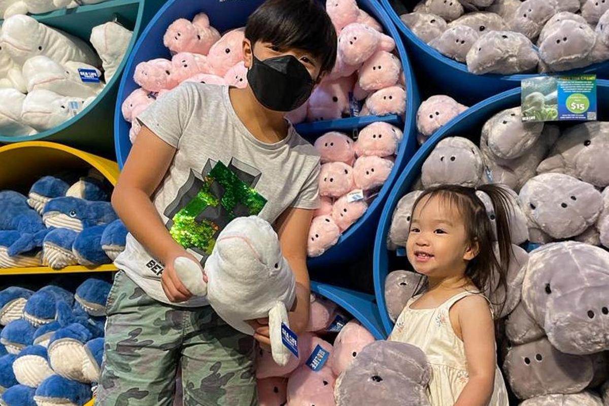 別忘了到商店逛逛，選購禮品、玩具和紀念品，為您的雪梨海洋生物水族館之旅留下美好回憶！