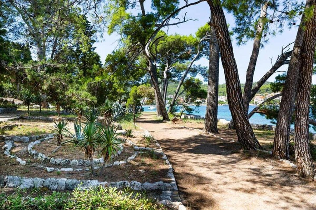 pot skozi park z drevesi in vodo