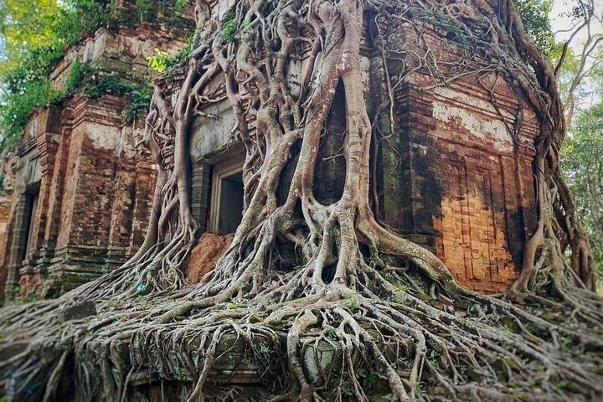 un edificio con radici di alberi su un lato