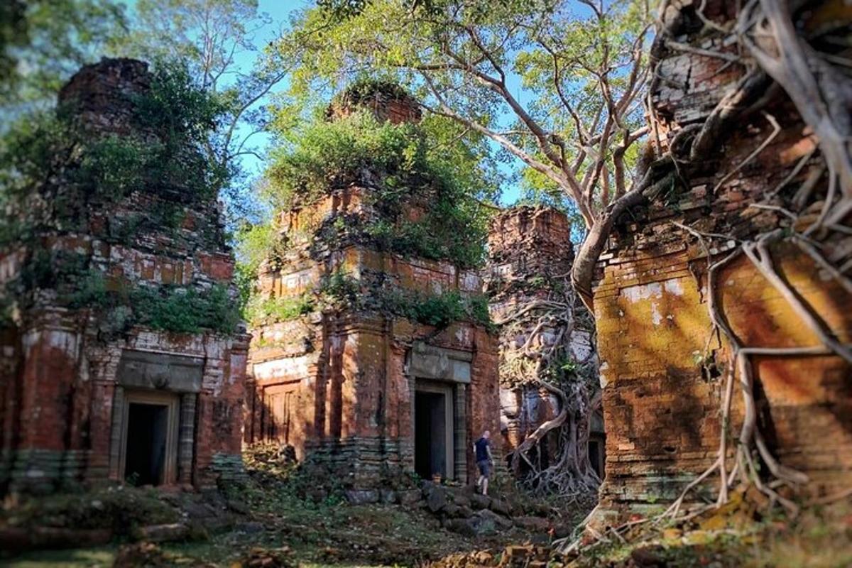 un vecchio edificio in pietra in una foresta di alberi