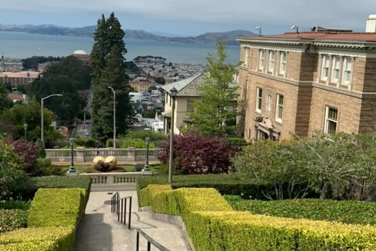 a view of a park with a building and bushes