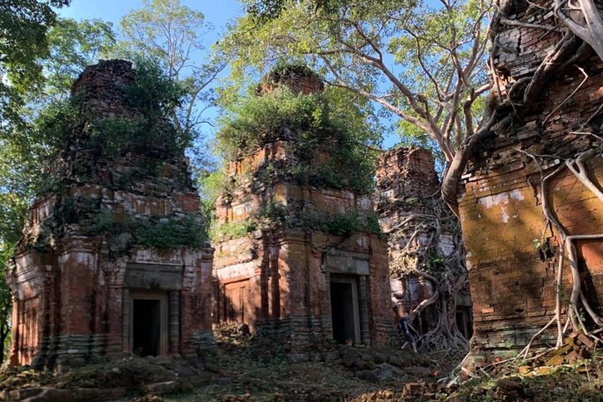 sebuah kuil tua di hutan dengan pepohonan