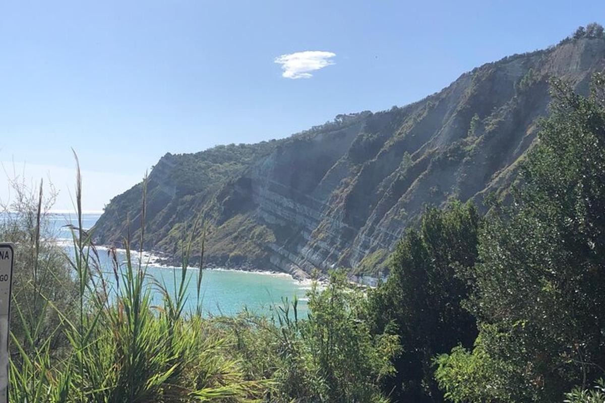 Fotografia da atração 5