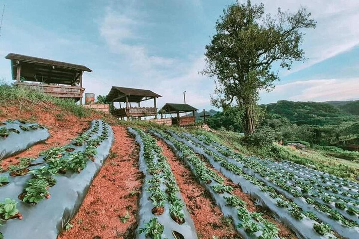 Fotografia 3 a atracției