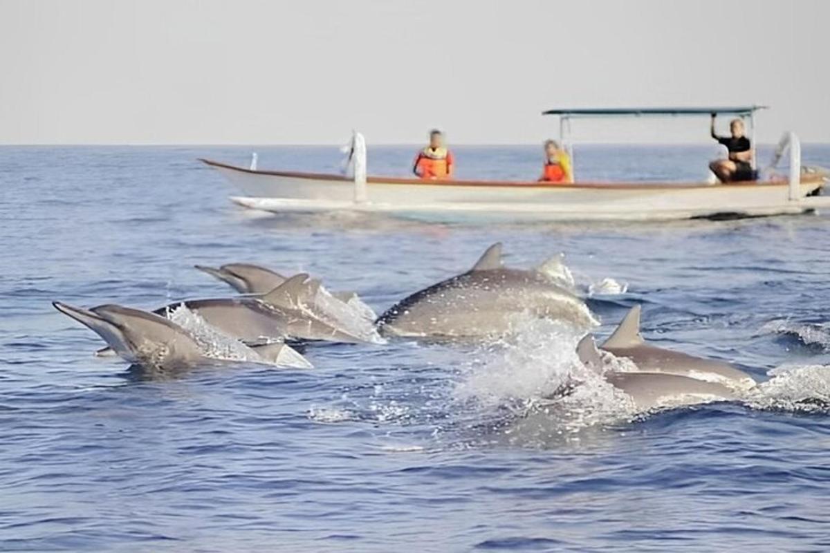 Un grupo de delfines en el agua junto a un barco.