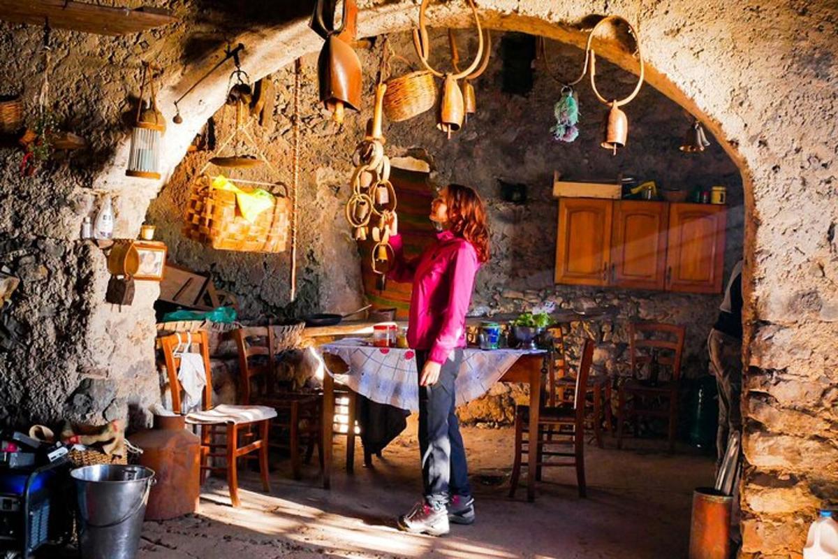 una donna in piedi a un tavolo in una cucina