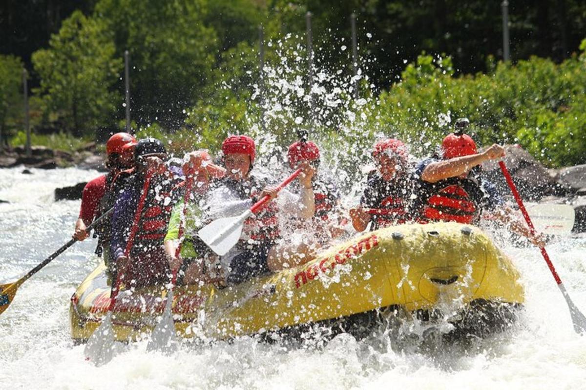 a group of people on a raft in the water