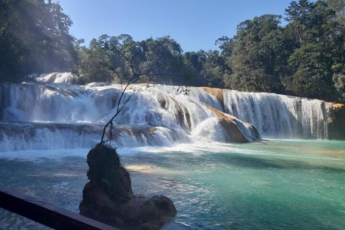 a waterfall with a tree in the water