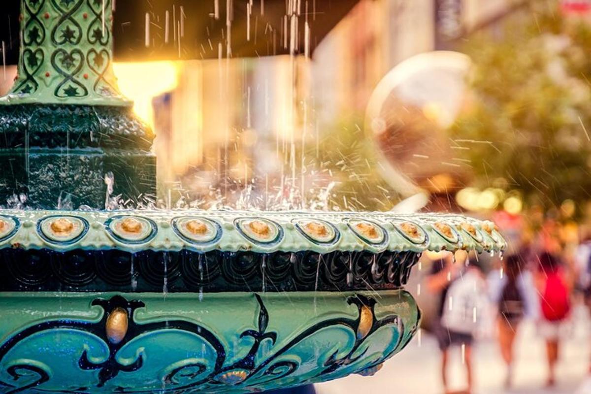 um close de um vaso em uma rua da cidade