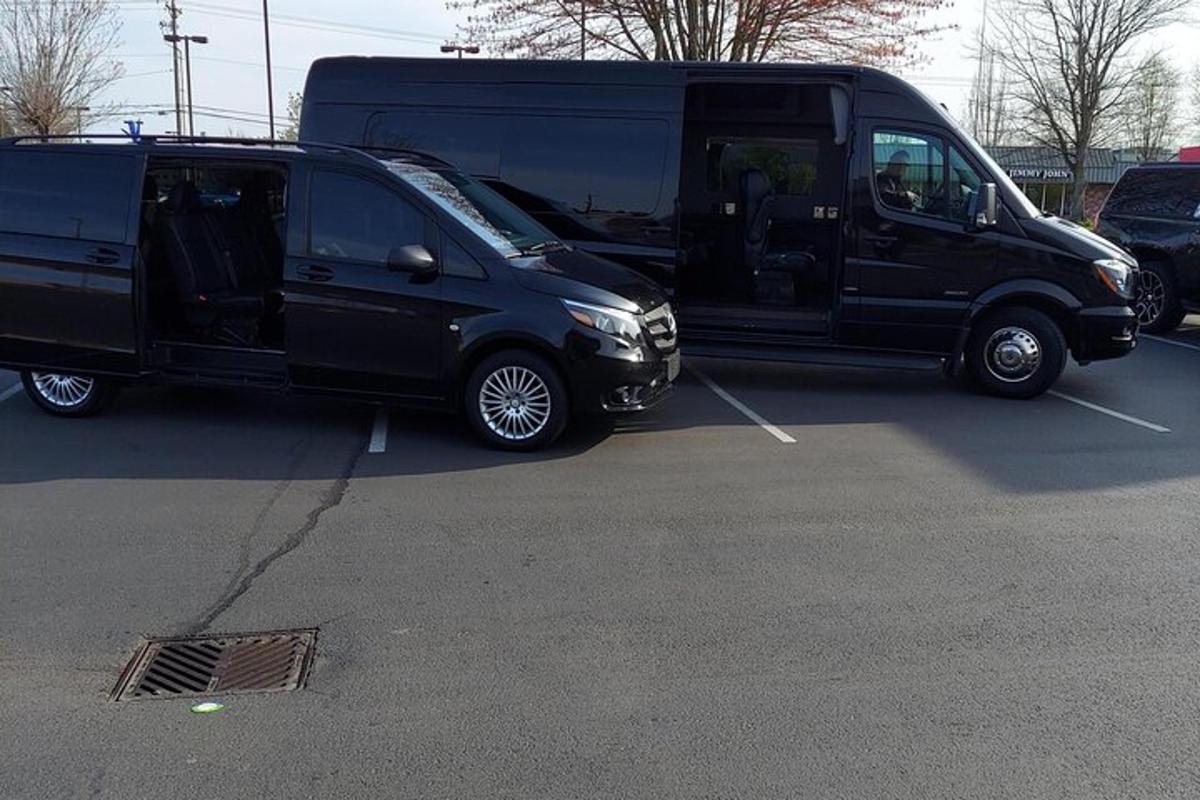 due furgoni neri parcheggiati uno accanto all'altro in un parcheggio