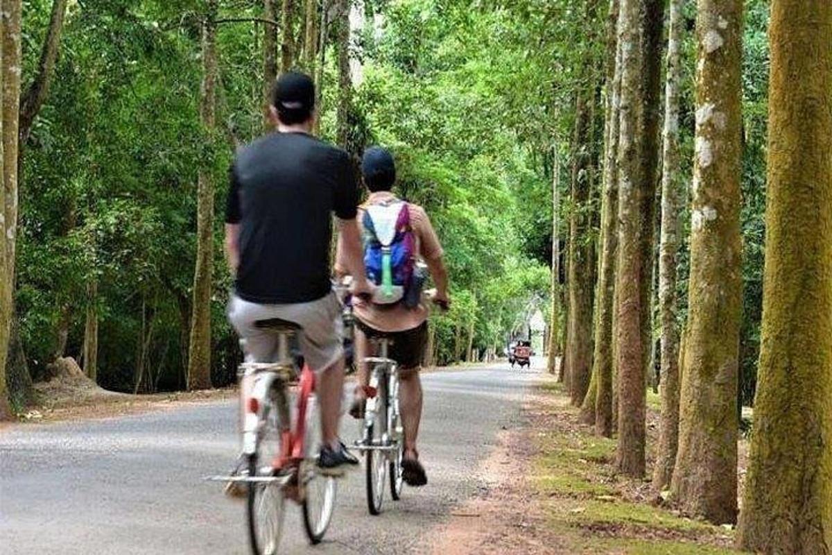 Dos personas andando en bicicleta por una calle con árboles.