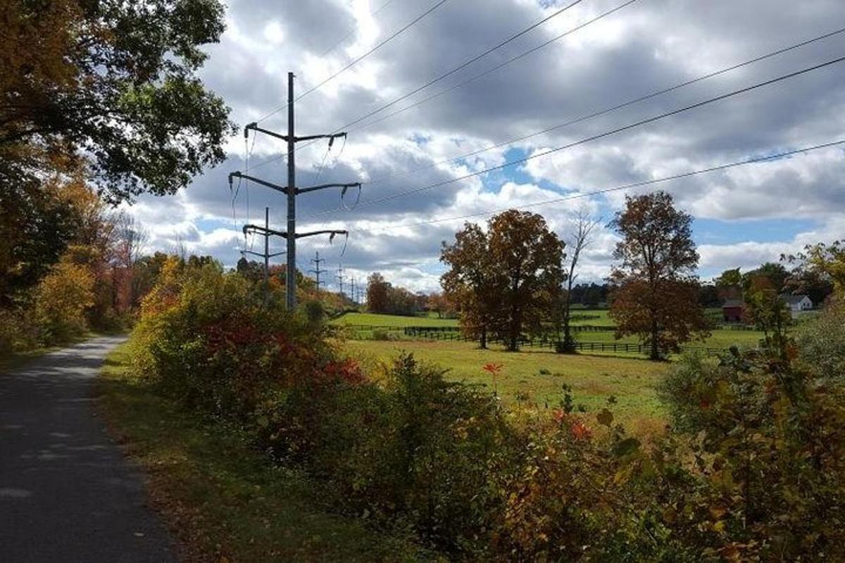 a road with two telephone poles and a field