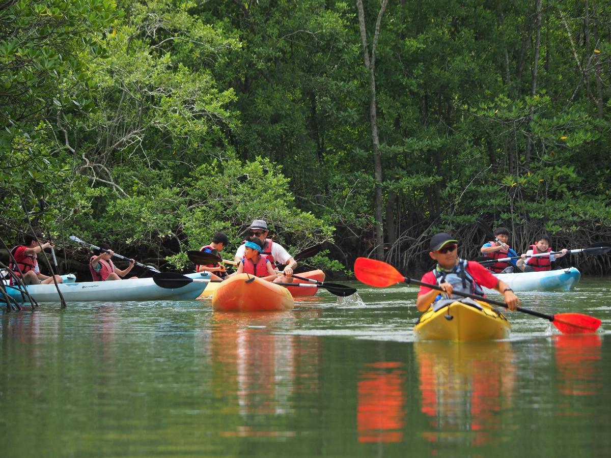a group of people in kayaks on a river