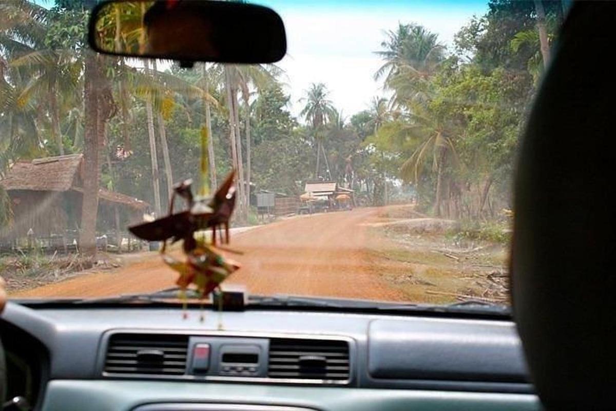 dois pássaros estão em pé no painel de um carro