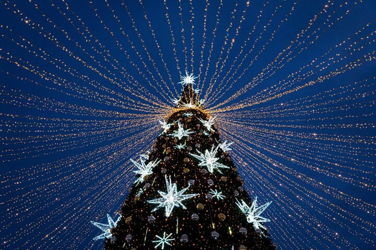 Un árbol de Navidad cubierto de luces con nieve.