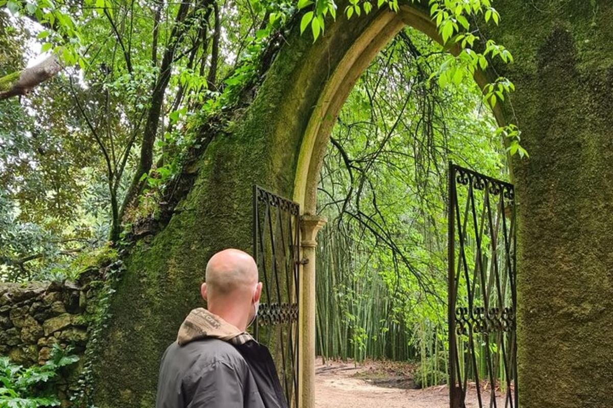 muž stojící před branou v lese