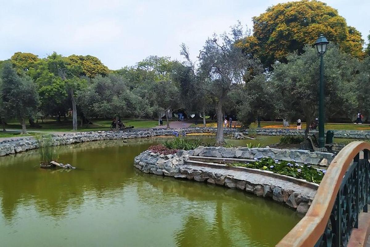 park s mostem přes rybník s lavičkou