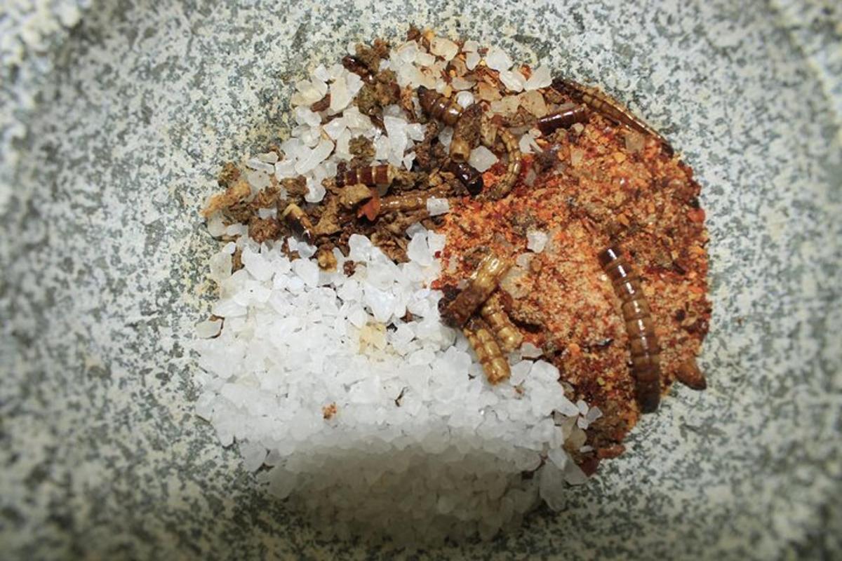 selonggok nasi dan rempah ratus di atasnya