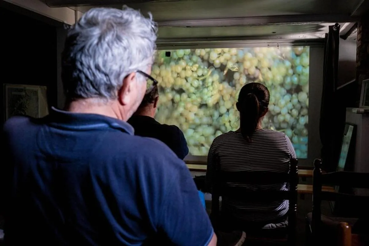 Visite de cave Immersive-dégustation et goûter alsacien(tea time) – photo 4