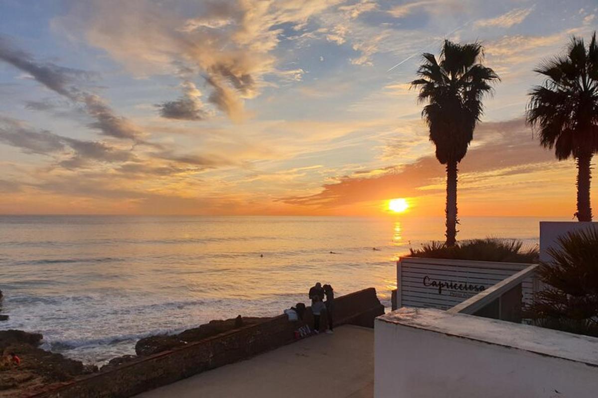 um pôr do sol sobre o oceano com uma palmeira