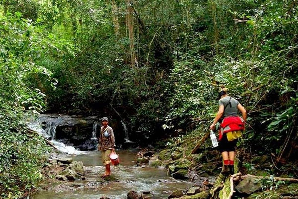 two people walking through a stream in a forest