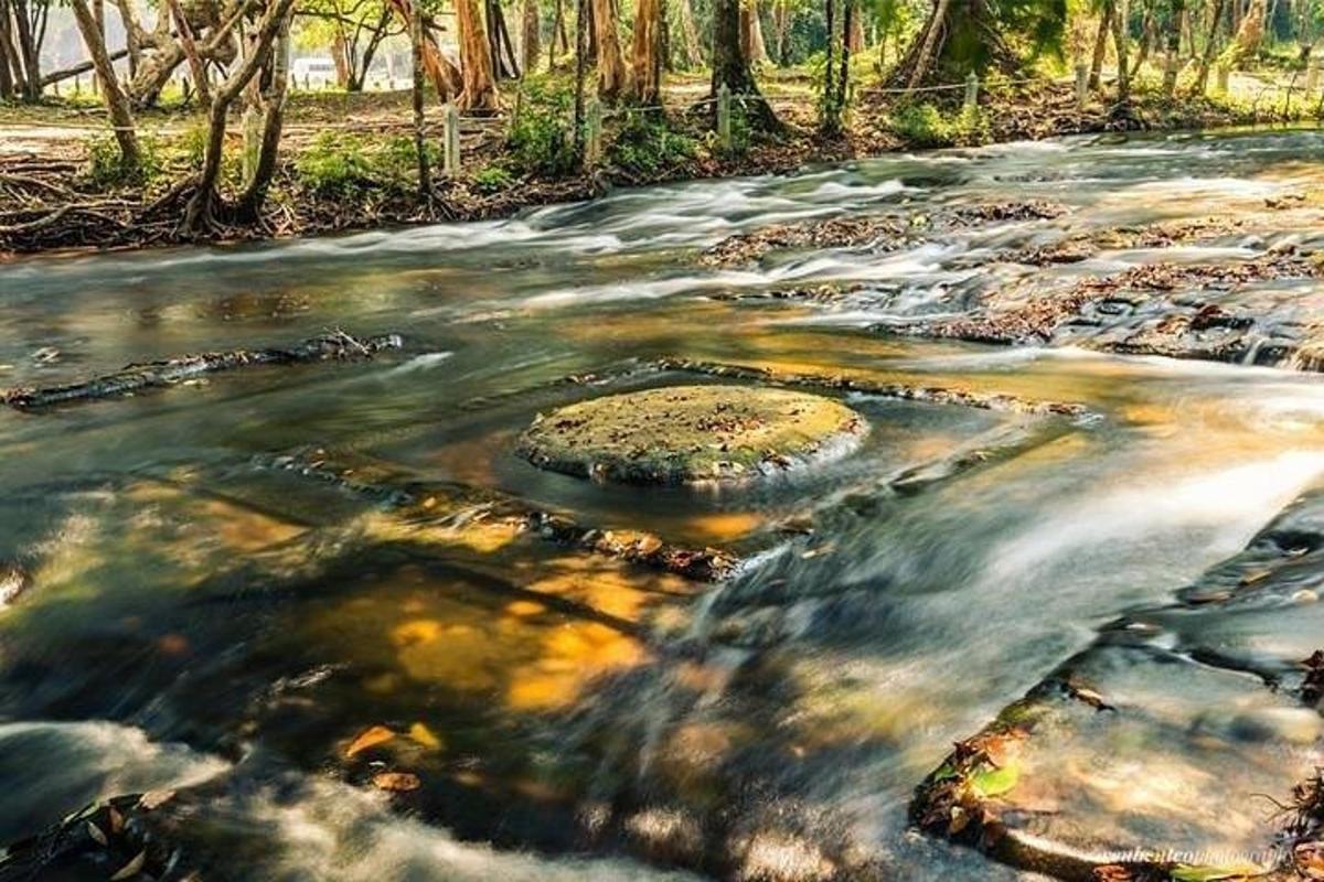 un fiume con rocce e alberi sullo sfondo