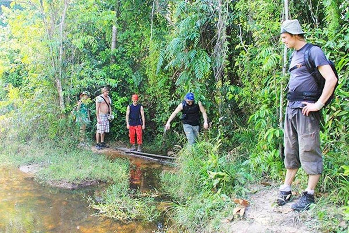 a group of people crossing a stream in the jungle