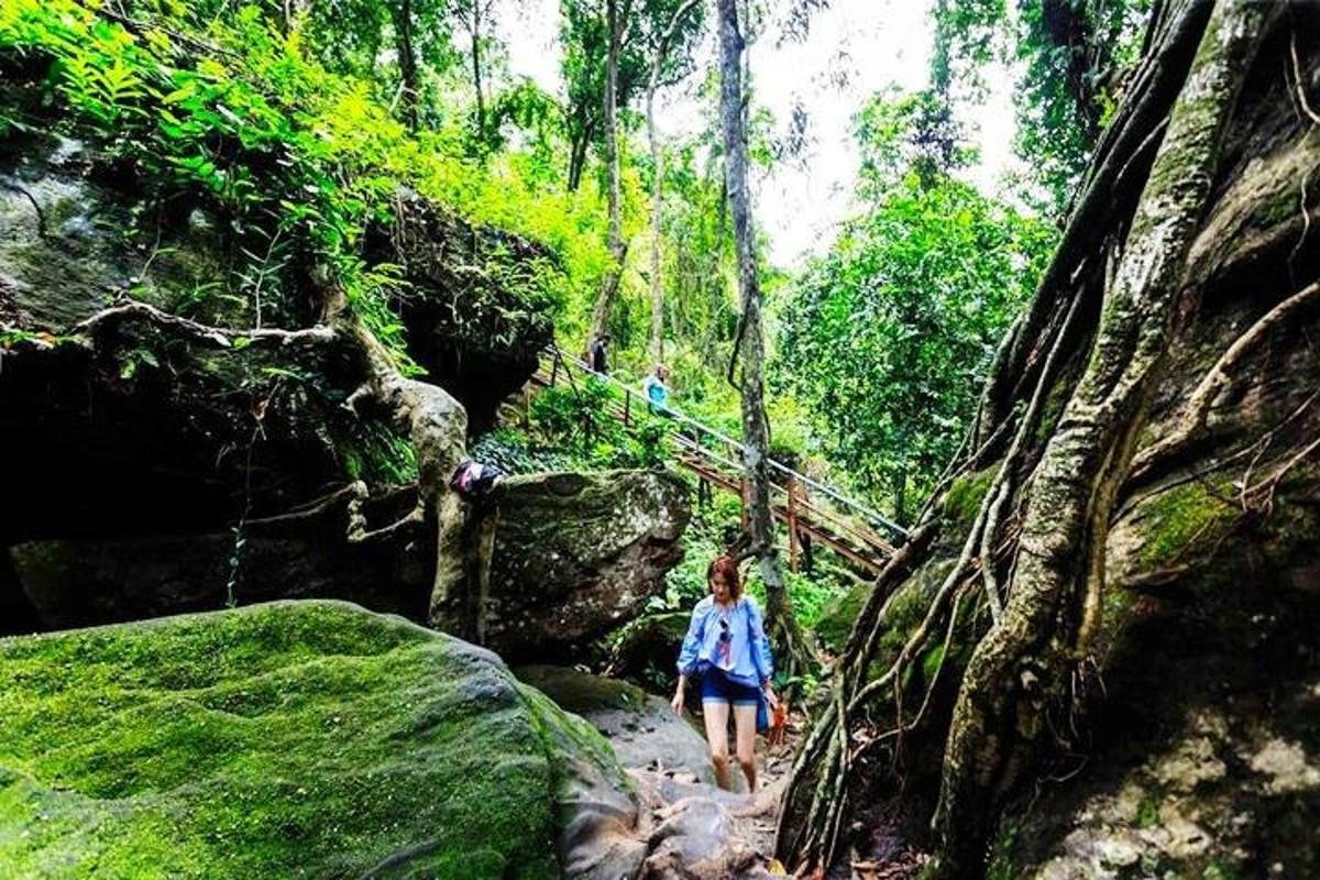 a woman walking down a trail in a forest