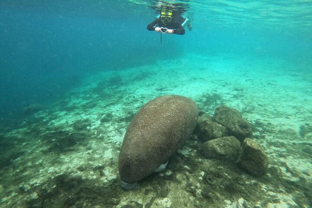 Lankytinos vietos ar pramogos nuotrauka numeris 5