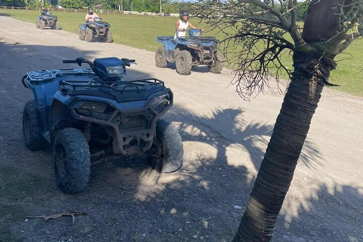 tři lidé na čtyřkolkách zaparkovaní vedle palmy
