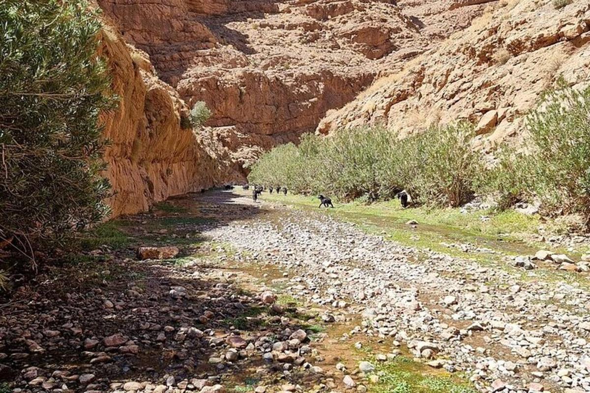 תמונה מספר 5 של האטרקציה